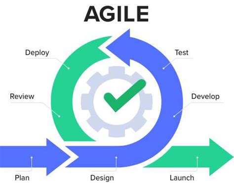  Ectathesis: Where Agile Legs Meet Exquisite Web Construction!