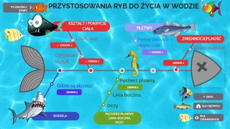  Miciociona: Zazwyczaj Siedząca Gąbka Wykazuje Niesamowite Przystosowania do Życia w Chłodnych Wodach