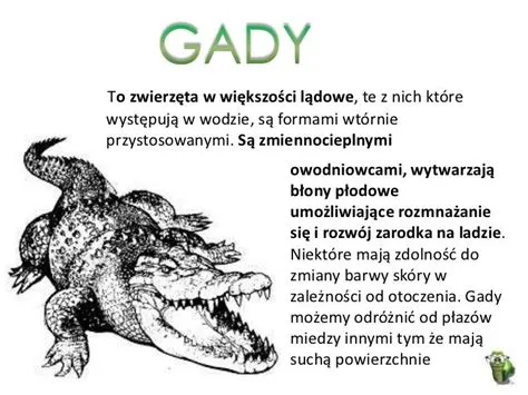 Jajkożaba! Poznaj Gady Z Węglowym Skórą i Mistrzów Kamuflażu